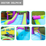 Doctor Dolphin Inflatable Castle - purple lover